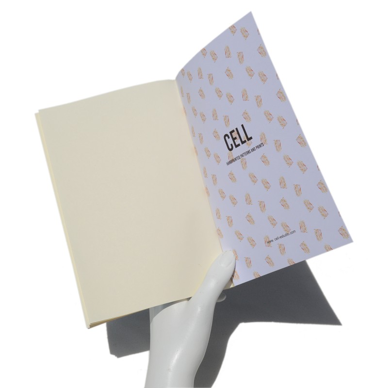 cell studio notebook