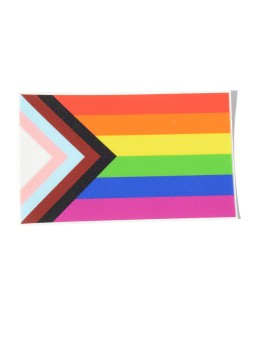 The “Progress” Pride Flag designed by Daniel Quasar is now an Sticker!