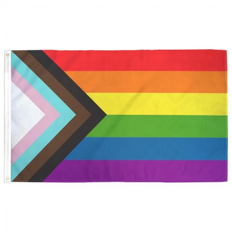 Progress Pride Flag designed by Daniel Quasar