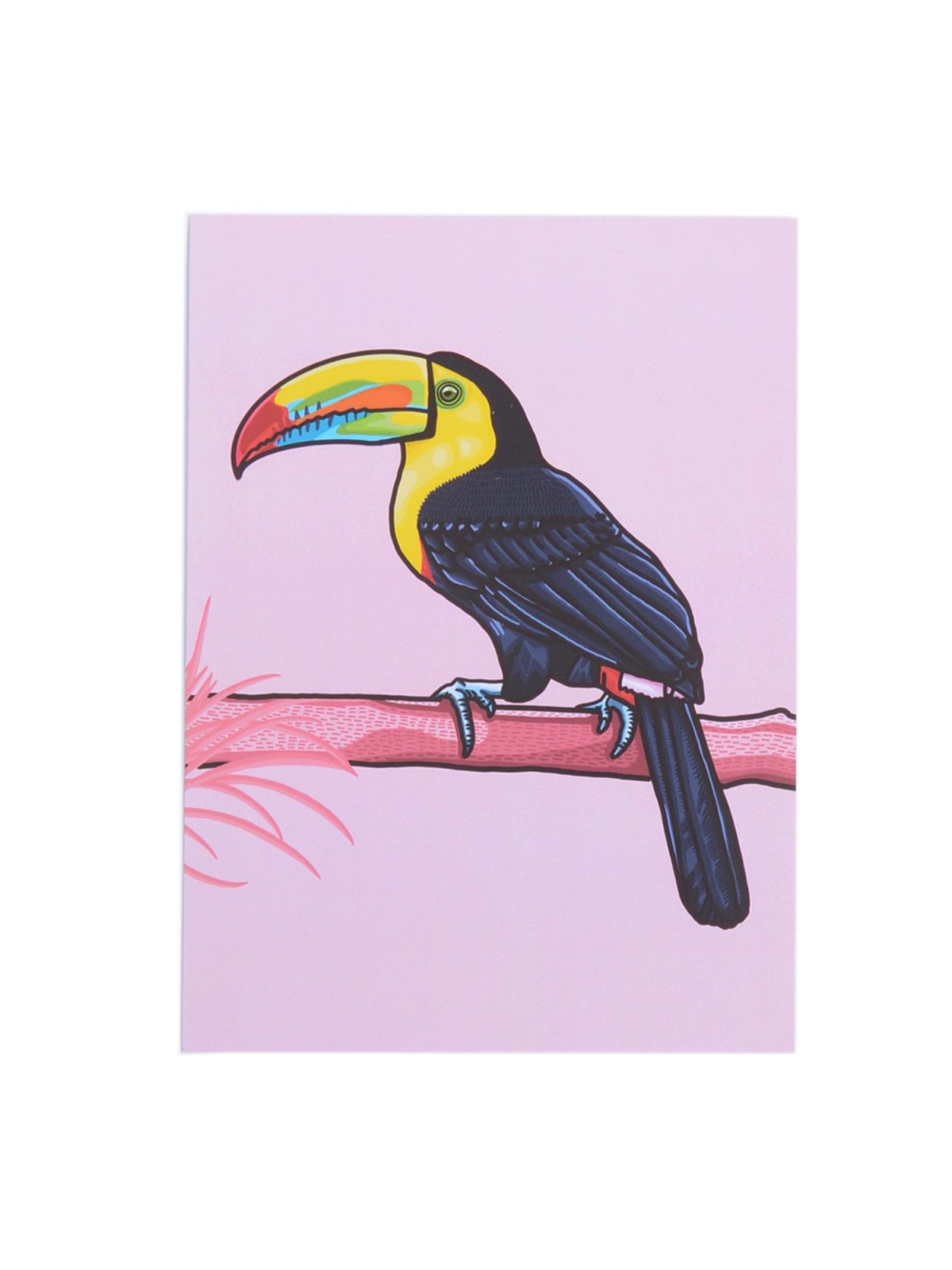 Keel-billed Toucan Digital Art Print
