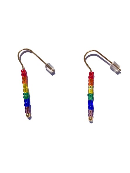 Pride Flag San Fabrizzio R earrings