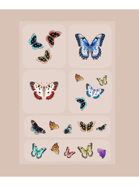 Parches Vitamínicos Cerebro y Belleza de My Barrière Pack 6 Mariposas