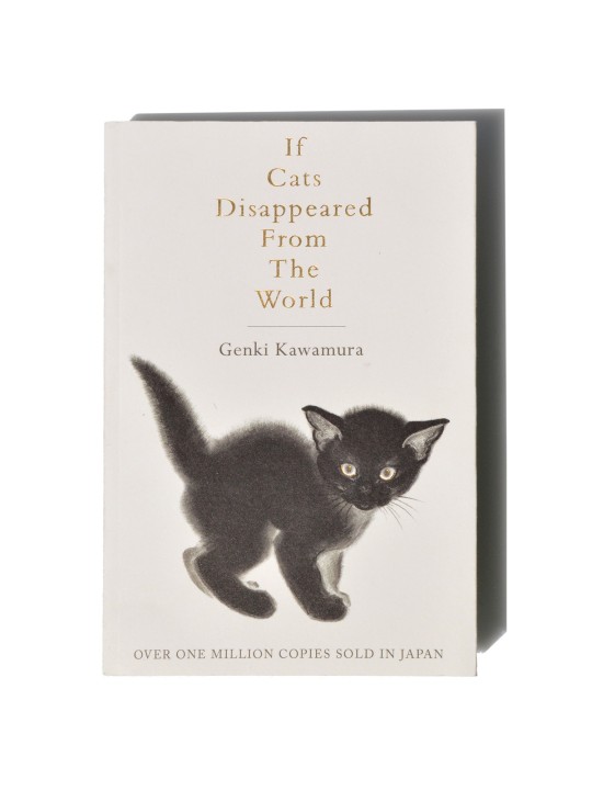 If cats disappeared from the world by Genki Kawamura