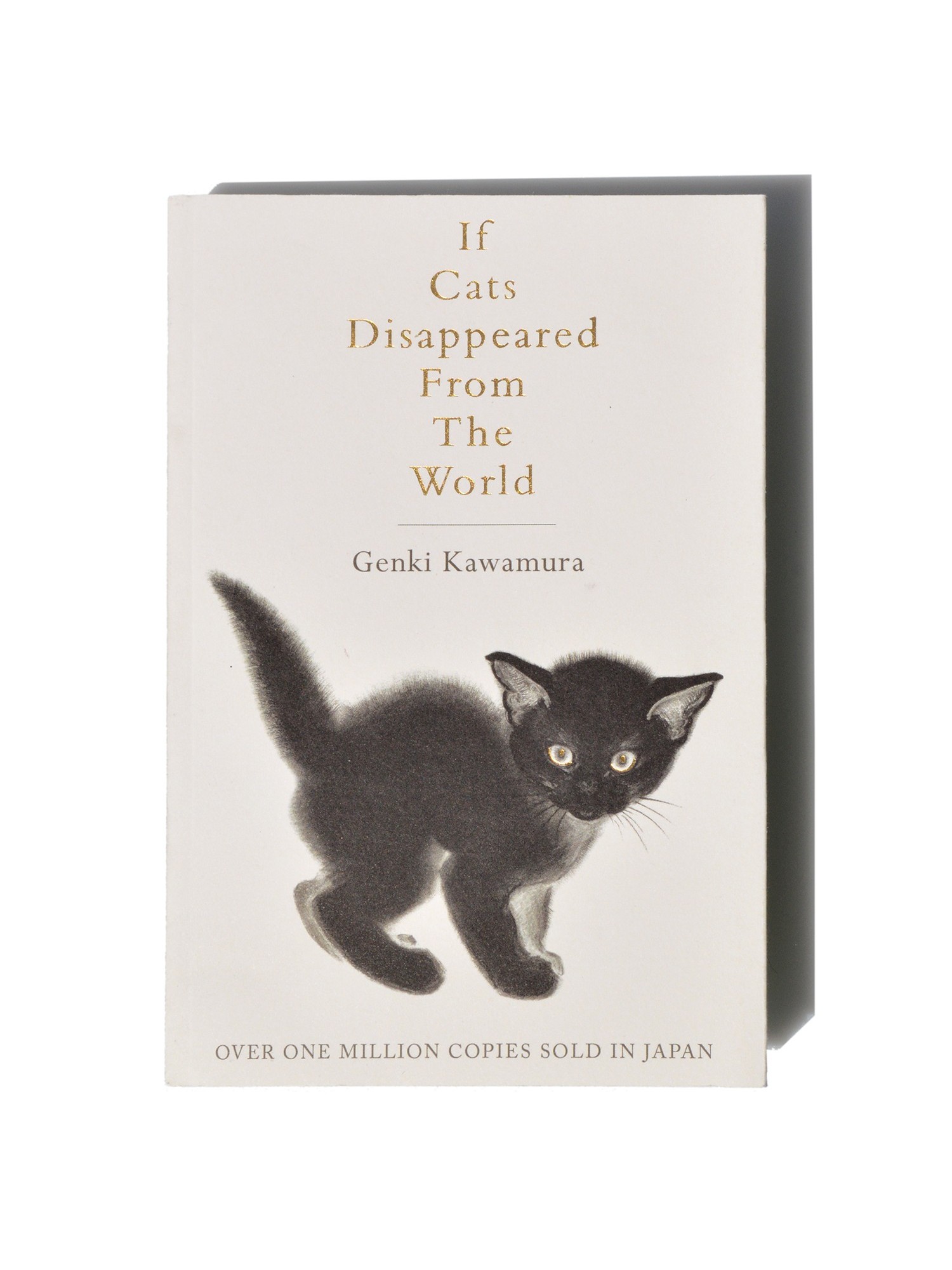 If cats disappeared from the world