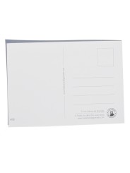 Lot of all the postcards from the Fuente de la Granada Collection of t