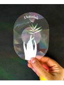 Botanopia Rainbow maker sticker – create rainbows anywhere (Flourish)