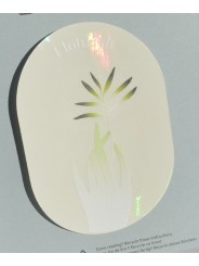 Pegatinas creadoras de Arco Iris (Flourish) de Botanopia