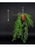 Botanopia's Bolty – Hanging planter system for plant pots