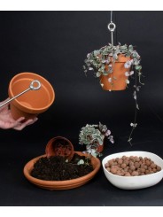 Botanopia's Bolty – Hanging planter system for plant pots