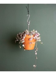 Bolty de Botanopia – Sistema de macetero colgante para macetas
