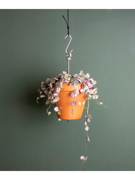 Botanopia's Bolty – Hanging planter system for plant pots